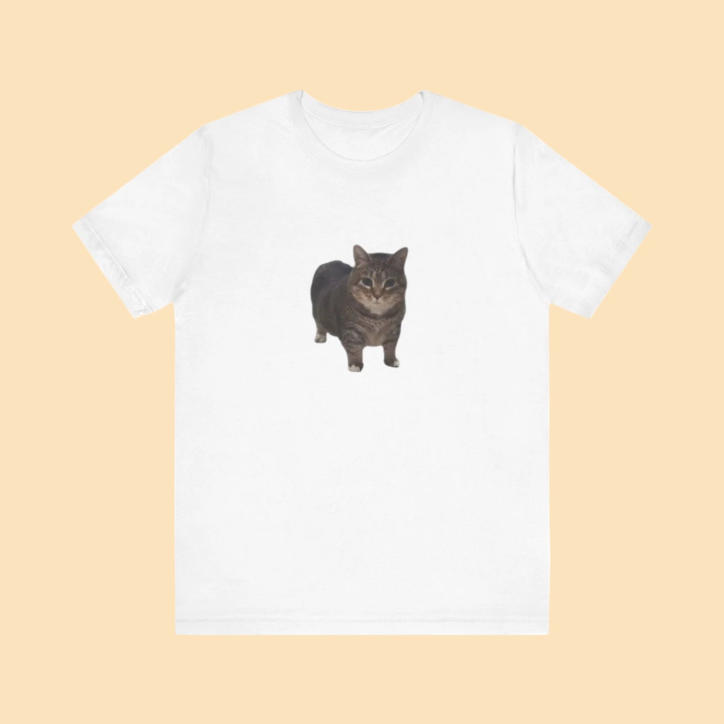 OIIAI Cat Tee